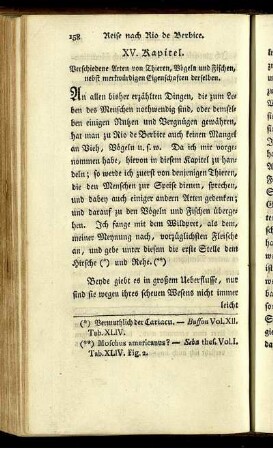 XV. Kapitel.