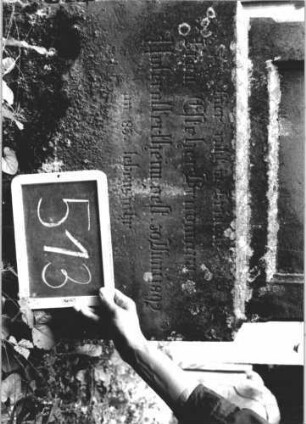 Grabstein 513 (Index: 99895507) Material: Sandstein Zustand: sehr gut, Sockel bewachsen Maße HxBxT: 150x57x11 cm Beschreibung: Stele mit eingezogenem Rundbogenabschluss, Verdachung; Sockel Symbolik: Blüte in Rad, Ranken: Grabstein 513 (2)