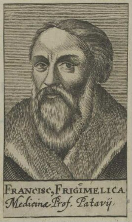Bildnis des Franciscus Frigimelica