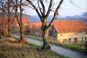 Straße vor dem Friedhof, Bäume, Häuser