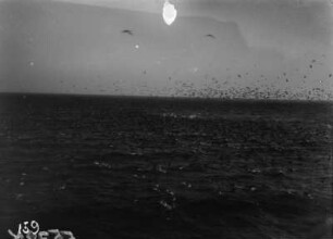 Meer : Blick auf das Meer vor Swakopmund