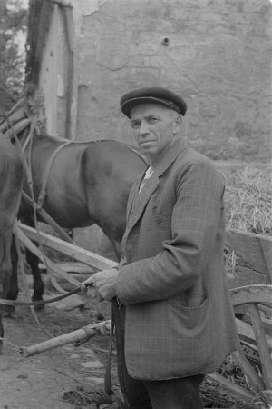 Landwirt mit Pferdegespann. : Ratar z konjacym zapřahom.