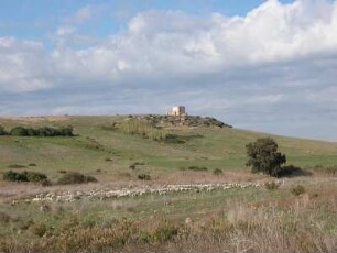 Insel Sizilien - Schafherde : Aufgenommen auf der Insel Sizilien 2005