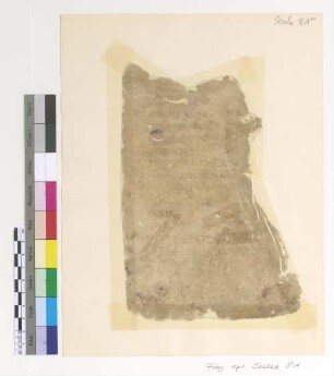 [Scala] : Fragm. copt. Pischoi Scala 8