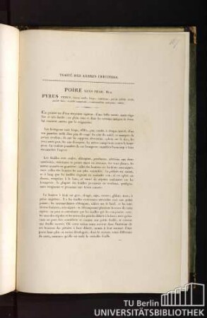 Traité des arbres fruitiers. Poire sans peau. Duh. Pyrus tener, fructu medio longo, ventricoso, partim pallide viridi, partim flavo, maculis sanguineis, evanescentibus consperso, aestivo.