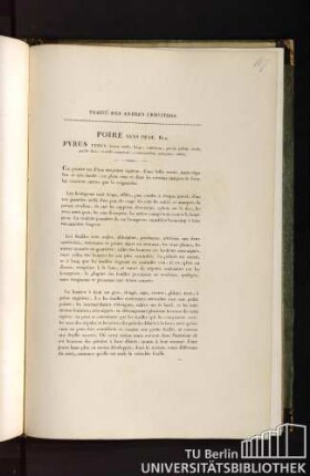 Traité des arbres fruitiers. Poire sans peau. Duh. Pyrus tener, fructu medio longo, ventricoso, partim pallide viridi, partim flavo, maculis sanguineis, evanescentibus consperso, aestivo.