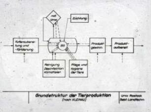 Tierproduktion