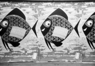 Basel: Dermaplatic, Fische