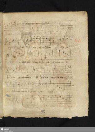 Clemens non Papa, Jacobus: Ego flos campi