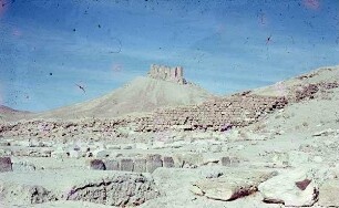 Palmyra Mauer Julianus + Burg