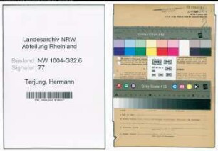 Entnazifizierung Hermann Terjung , geb. 13.10.1868 (Schiffssachverstaendiger)