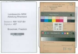 Entnazifizierung Friedrich Brzezinski , geb. 19.09.1894 (Postsekretaer)