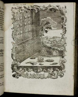 Tab. XXI. pag. 208.