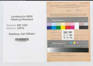 Entnazifizierung Karl Wilhelm Spielberg, geb. 12.10.1908 (Revisor)