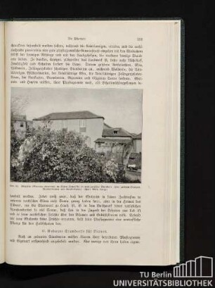 O. Gebaute Standorte für Lianen.