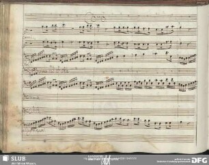 Coro: Cada il tiranno regno d'Amore