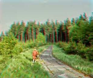 Wasserläufe Freiberg: Kohlbach-Kunstgraben (BED)