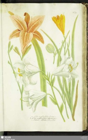 N. 651 - 700