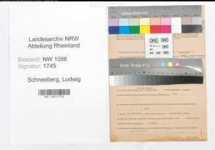 Entnazifizierung Ludwig Schneeberg , geb. 27.02.1909 (Angestellter)