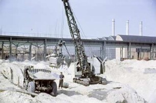 Bau des Gaskombinates Schwarze Pumpe. Dumper wird mit Sand beladen. : Twar płunokombinata Čorna Pumpa. Dumper so z pěskom nakładuje.