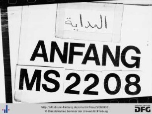 MF Mau 2208