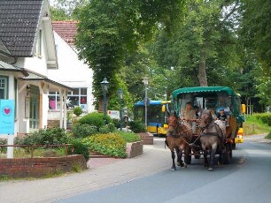 Worpswede - Pferdekutsche