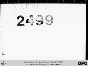 MF Mau 2499
