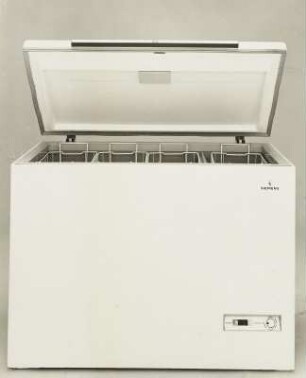 Siemens Gefriertruhe „300 l"