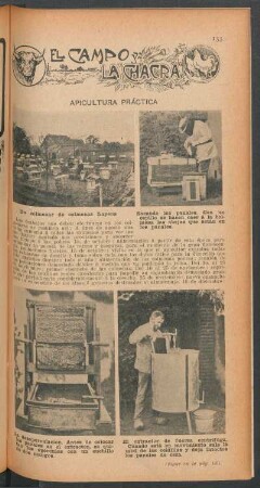 Apicultura práctica : El campo y la chacra