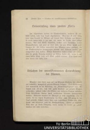 16. Ursachen der unvollkommenen Entwickelung der Blumen.
