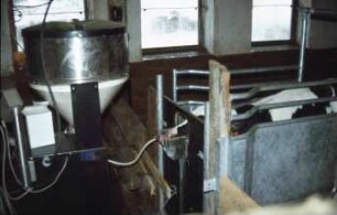 Fotografie: Kalb, Tränkeautomat