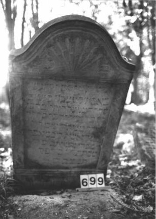 Grabstein 699 (Index: 99900501) Material: Sandstein Zustand: stark verwittert Maße HxBxT: 123x67x11 cm Beschreibung: Stele mit Konvexbogenabschluss, im Bogenfeld Palmette, unten Plattenfries (?) Symbolik: Palmette, Plattenfries: Grabstein 699