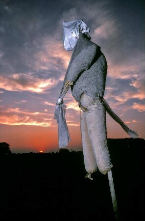 Die Vogelscheuche ist eine in der Regel menschenähnliche Figur aus Holzstangen und alten Kleidungsstücken, die durch ihre Silhouette und Bewegungen im Wind Vögel, beispielsweise Stare und Krähen, von Feldern oder Gärten fernhalten soll