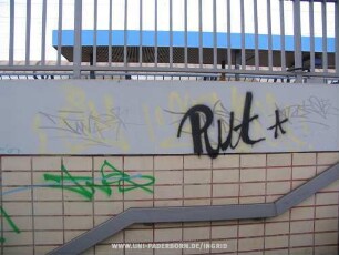 Rut*