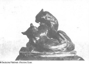 Kämpfende Katzen