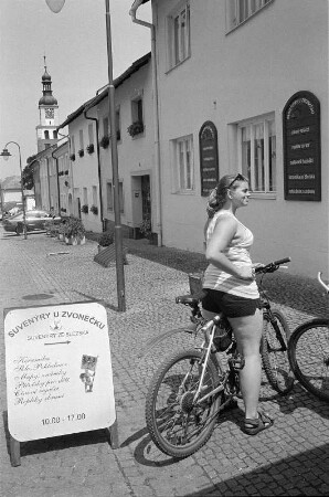 In Ostrava, Hradec nad Moravicí