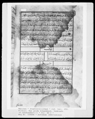 Satrançna^B4me / Das Große Schachbuch — Satrançna^B4me / Das Große Schachbuch, Folio fol. 82vBuchseite