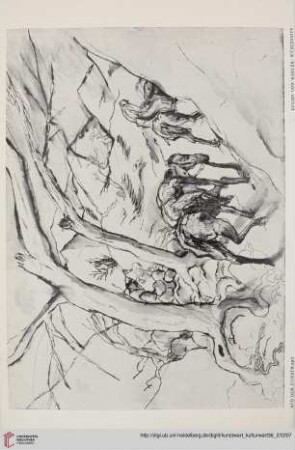 Heft 11 (Augustheft 1923)