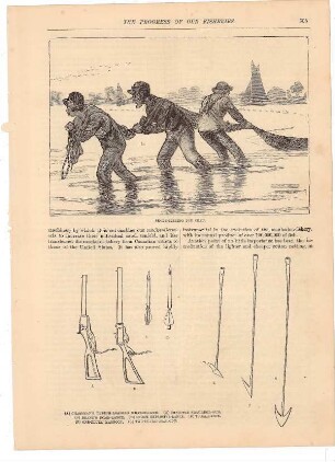 The Progress of our Fisheries: S. 505: Shore-Fishing for Shad