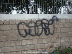 MiSi