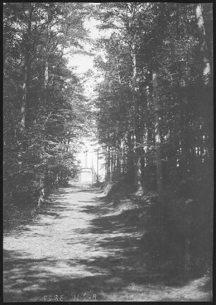 Köslin. Aufstieg zum Gollen