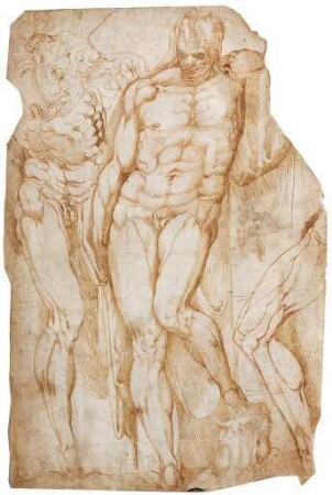 Skizzenblatt mit Aktstudie eines stehenden Mannes und Anatomiestudien