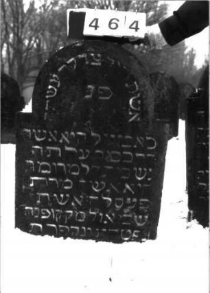 Grabstein 464