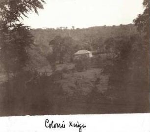Kolonie Xingu