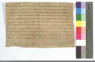 Gregor IX. verbietet die Deutschordensbrüder und Kirchen mit der Exkommunikazion oder dem Interdikt zu belegen.