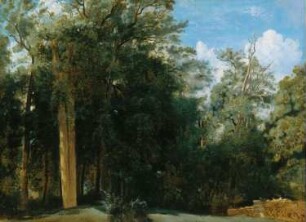 Lichtung im Wald von Fontainebleau mit einer kleinen Mauer