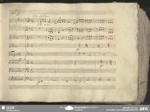 Aria: "Spero perche in quegl'occhi"