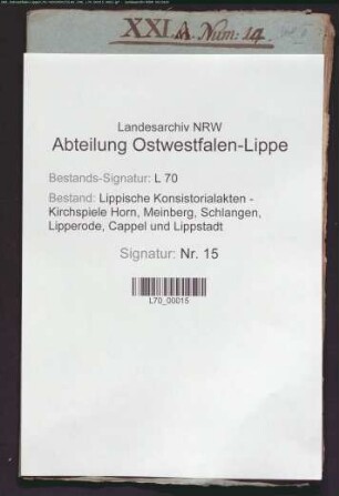 Kirchenvisitations-Angelegenheiten, verschiedene Klagen und Missstände [Desideria Ecclesiastica]