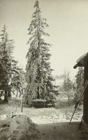 Winter- und Wintersport im Erzgebirge. Vor der Skihütte "Hochglück" in Schellerhau