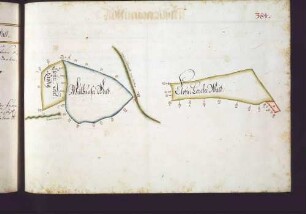 Botnanger Hut: Mühlhäuser Wald; Kloster Lorcher Wald; Kloster Lorcher Raydig